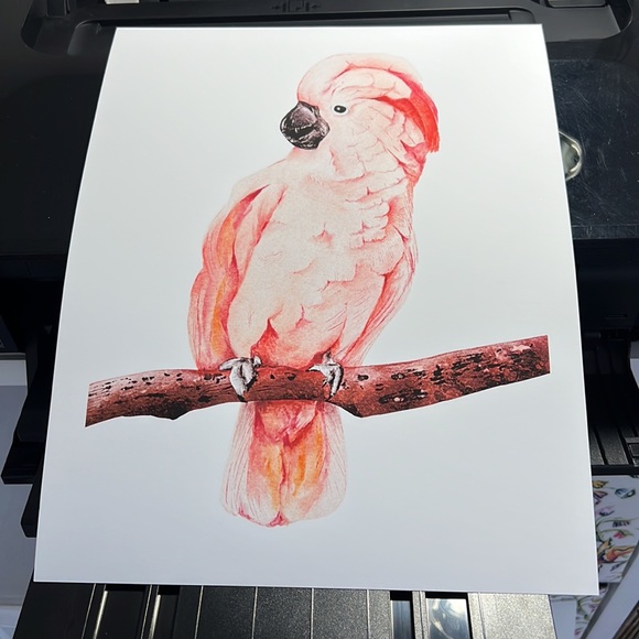 Wall Art Tropical Bird Portrait Print Unframed - Picture 8 of 15